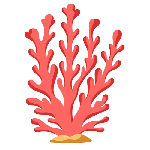 Under the Sea Theme Coral Transparent Sticker